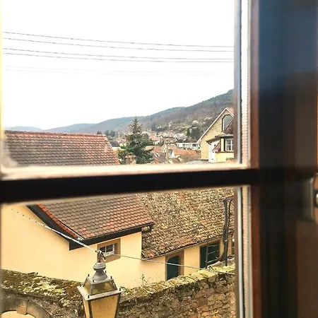 Apartment Genussvolle Auszeit Beim Winzer- Meerspinne *